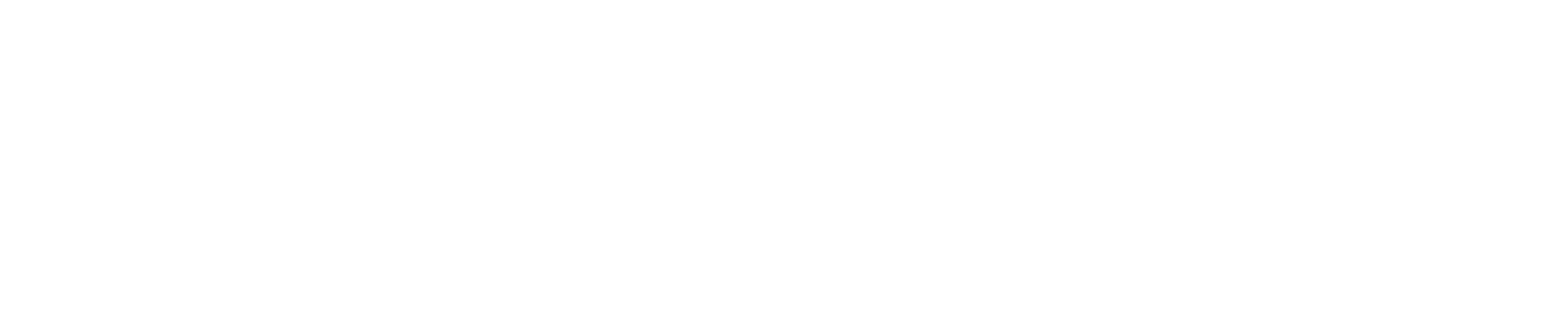 Logo-hlt-2021